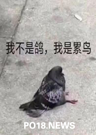 （人外）论活化石的新生活（人外）论活化石的新生活